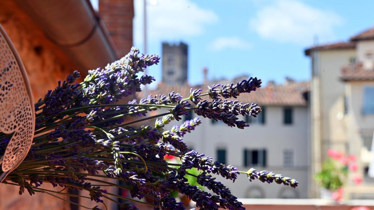 L'Iris B&B In Terrazza Lucca Exteriér fotografie