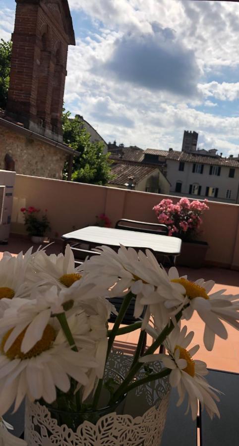 L'Iris B&B In Terrazza Lucca Exteriér fotografie